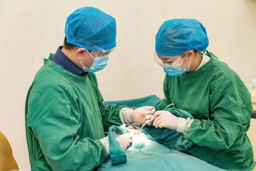 什么叫搭桥种植牙 07e0-d7037dd27e13733a3cbc63a66c4ba216.png