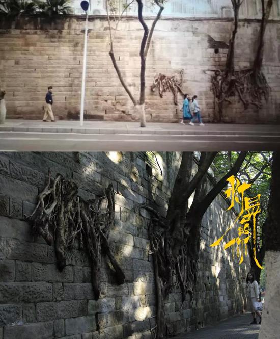 重庆版《少年的你》  重走易烊千玺走过的路