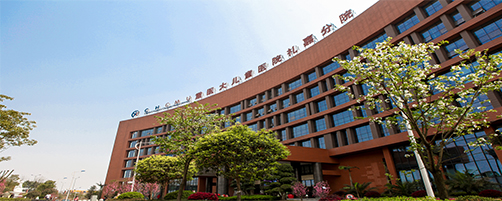 儿童医院礼嘉分院·来源网络