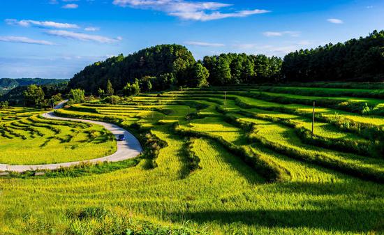 巴南石滩镇5分钟"书记导风景"视频短片上线_新浪重庆_新浪网