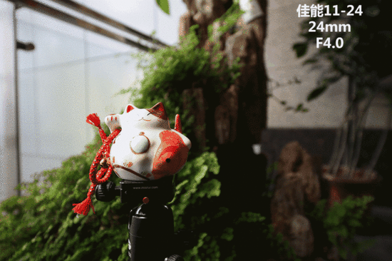最广广角之争！佳能11-24大战适马12-24 