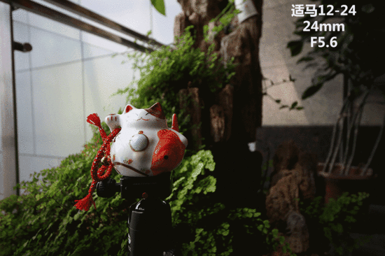 最广广角之争！佳能11-24大战适马12-24 