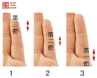 周易 > 正文    三丶手指底部第一指节最长   如上图3,你是个喜欢自由