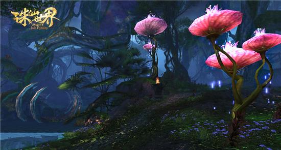 图片: 4.内泽的仙草花木远大于寻常所见.jpg