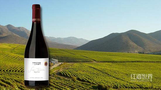 黑皮诺选购指引:我带着你 你带着钱