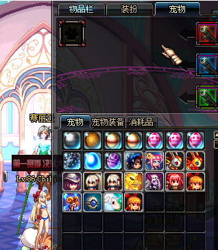 现在的决斗场详情分析 决斗场职业特性介绍