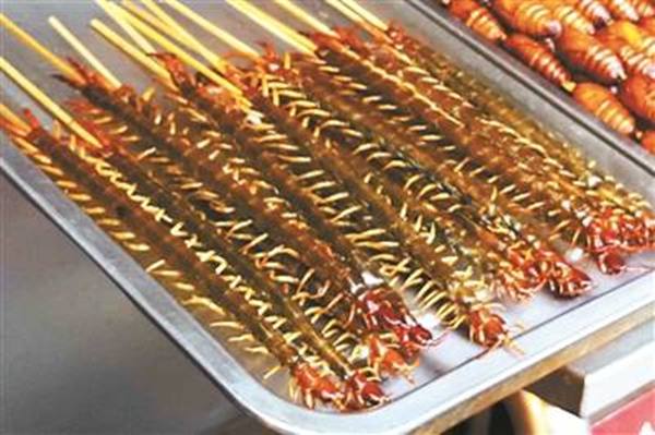 北京东华门小吃街现炸蜈蚣炸蛇 一只炸蜘蛛80元