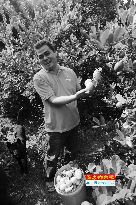 谢景良检查寄到的商品质量.谢景良检查寄到的商品质量.