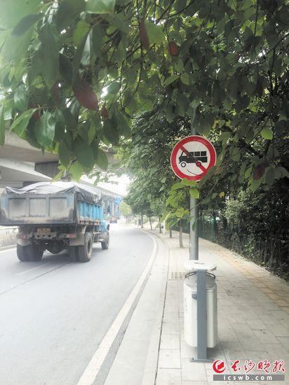 同一路段一个月内违法33次车主竟称不知情