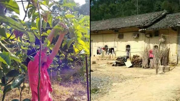 走访百香果女孩案事发地 村民称杨光毅曾骚扰多名幼女