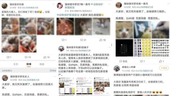 反虐猫志愿者遭人肉 被寄祭祀品死亡威胁