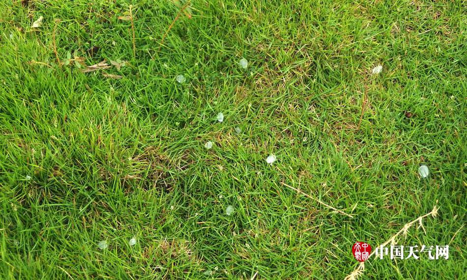 新时时彩是哪个省的简称幸运28热血青年