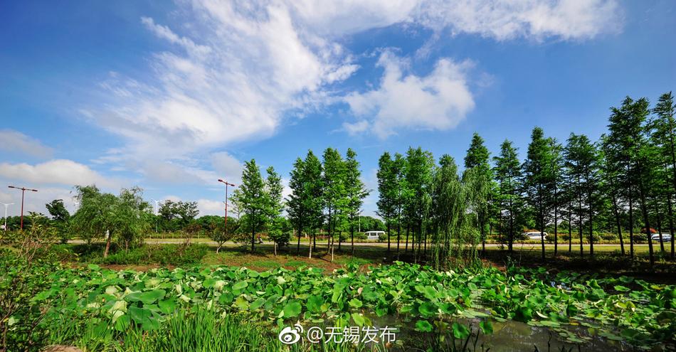 手机版北京赛车在线全天计划手机北京赛车好难玩