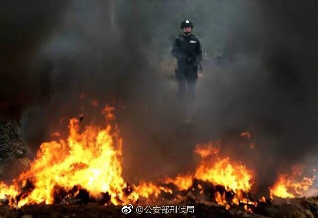 秒速赛车冠军龙虎怎么看秒速赛车和五行
