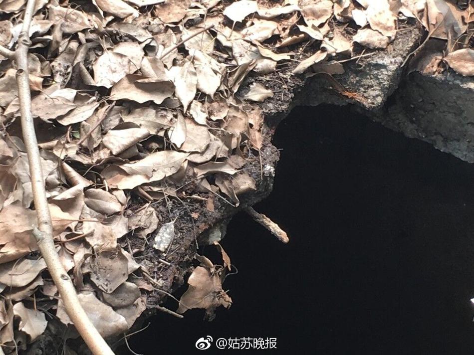 博之道娱乐城备用网址单机炸三张