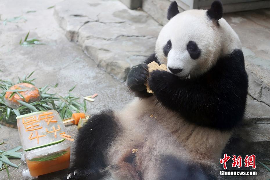 极速快车两个盘对打极速快车有哪些平台