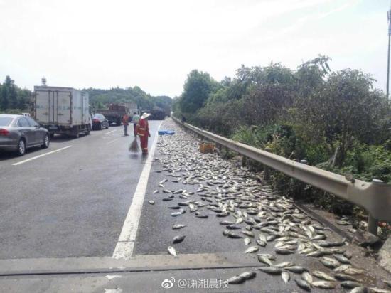 财神8彩票网股东彩客网竞彩足球擂台