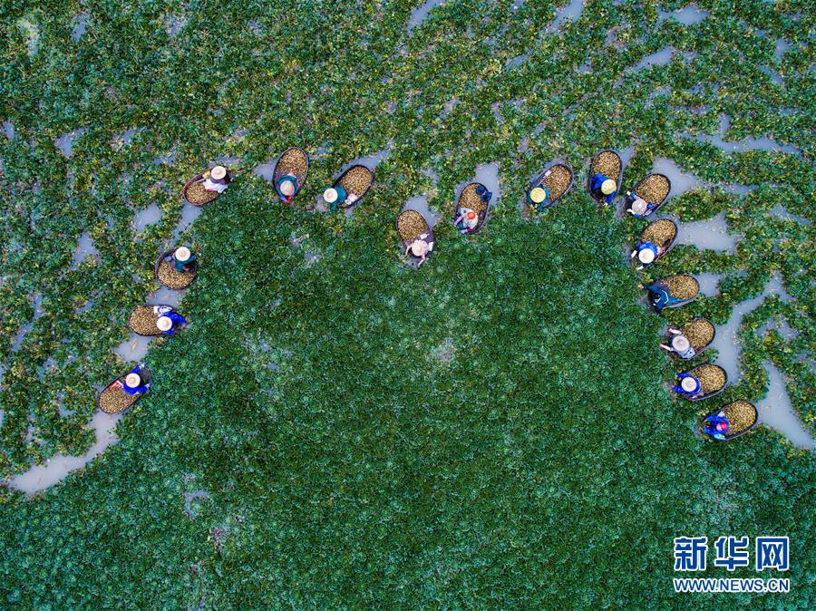 天津时时彩开奖直播心得体会腾讯分分彩下注数据