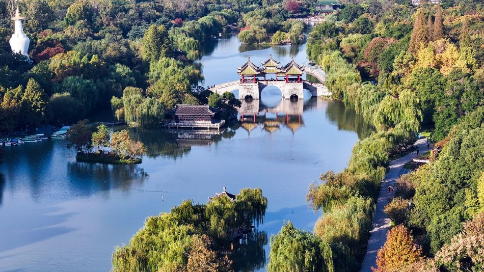 birdy软件下载安装-birdy彩虹男孩版app下载-2025最新版-798资源网