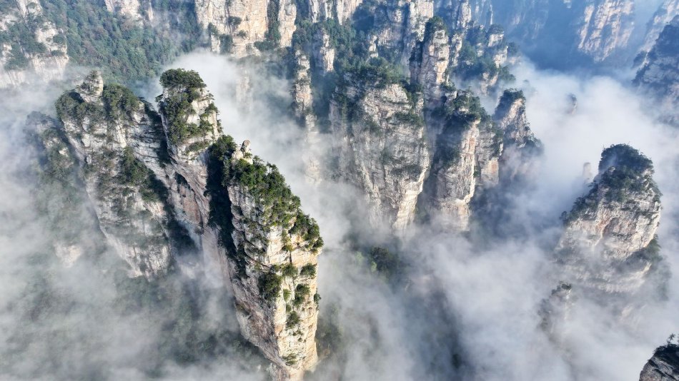 江金权：《建议》是党历史上又一重要纲领性文件