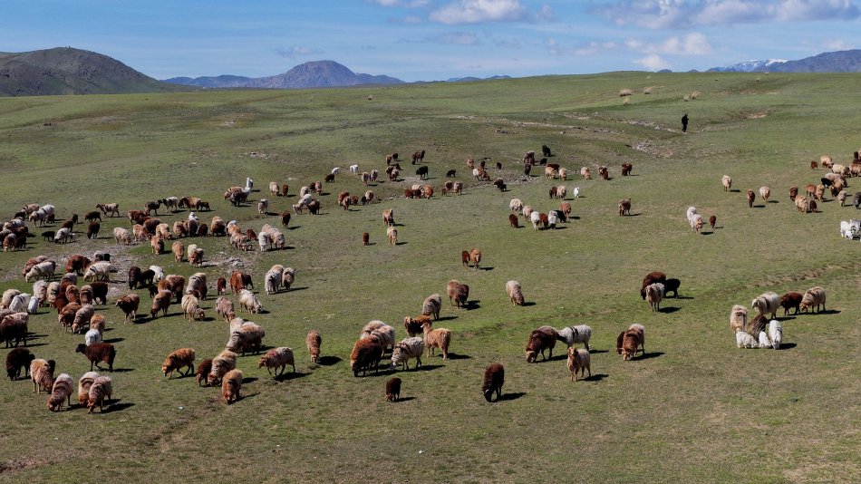 ��ˮ����ʵ�����������2023v1.1.7-ˮ����ʵ����ʵ��ͼ