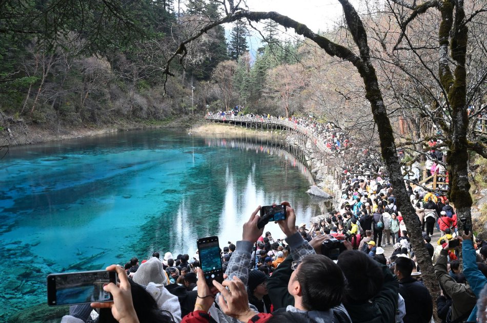 老师XXXX69中国应对变化的信号影响了多少人对