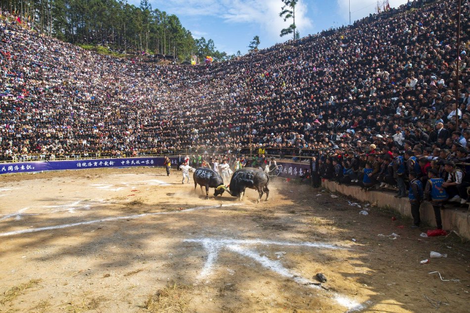 黑人精品㊙️一区二区三天美