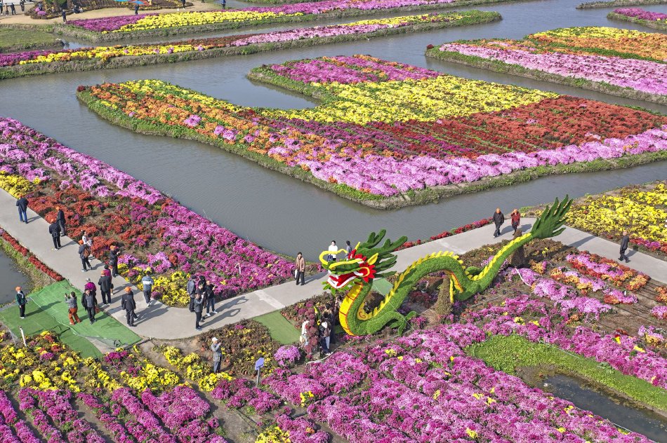 晚上偷偷看B站-晚上偷偷看B站最新版v3231763-2265安卓网