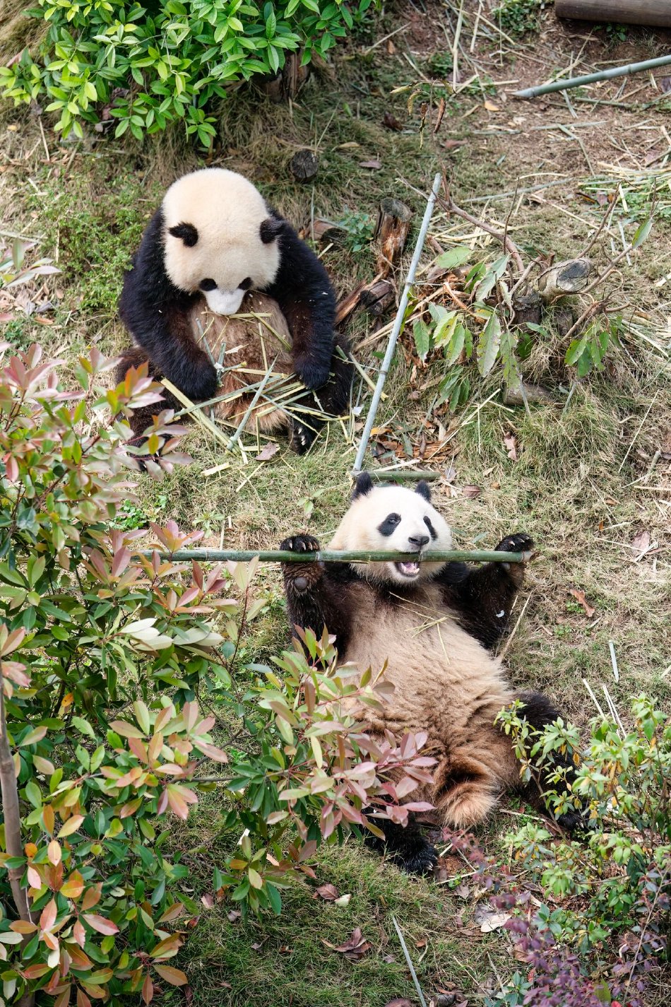 ������˼�����Ƴ��ڡ���˰�Ȳ����������ͼ�ʾ��ͼ