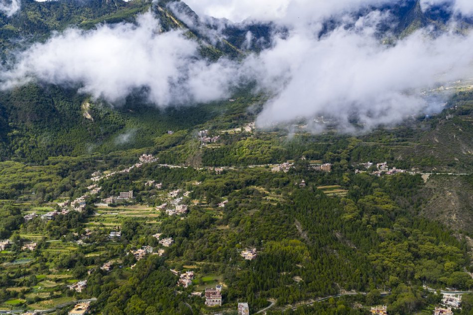 浓精H最新章节,谁又偷猫肉,浓精H全文阅读-艾乐小说