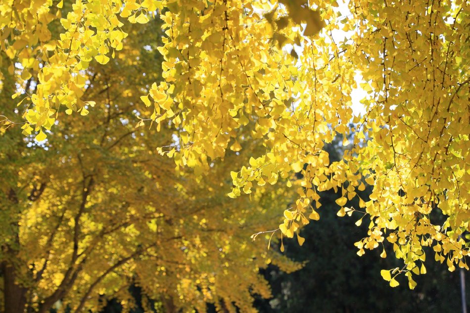 赖清德向特朗普乞怜?萧旭岑:两岸问题两岸解决,依靠美国不可行