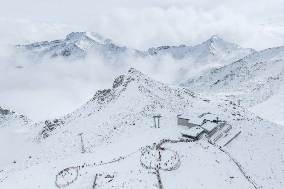 医美,中介,美容,医疗,咨询师,手术费