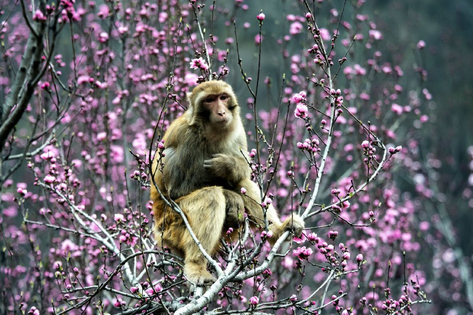 亚洲无砖码砖专区公司-引领修建行业的新革命包装图