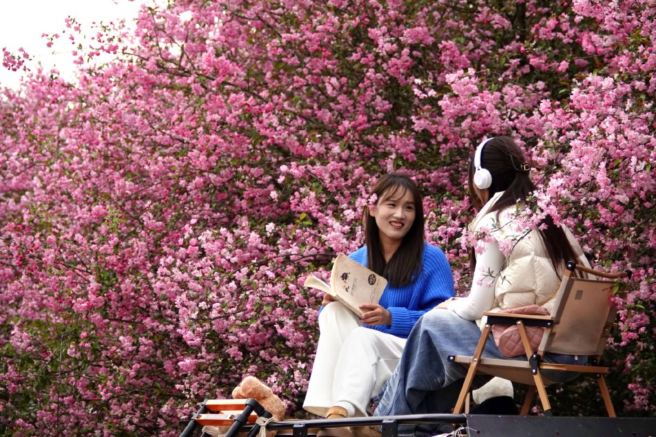 中银资产、、上海国投先导成立私募投资基金，，，出资额26.7亿元示意图