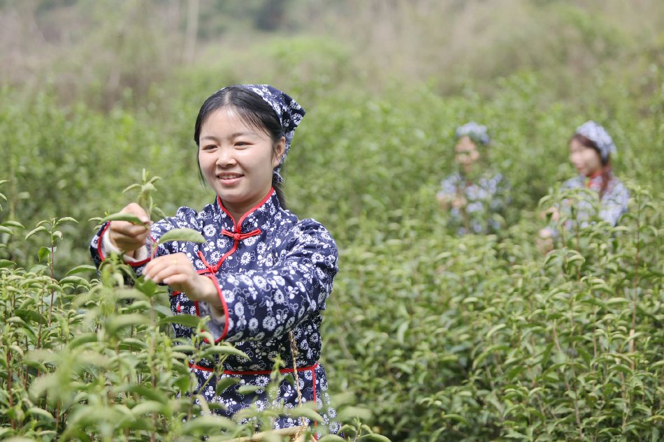 被列为供应链风险后，，Anthropic起诉特朗普政府