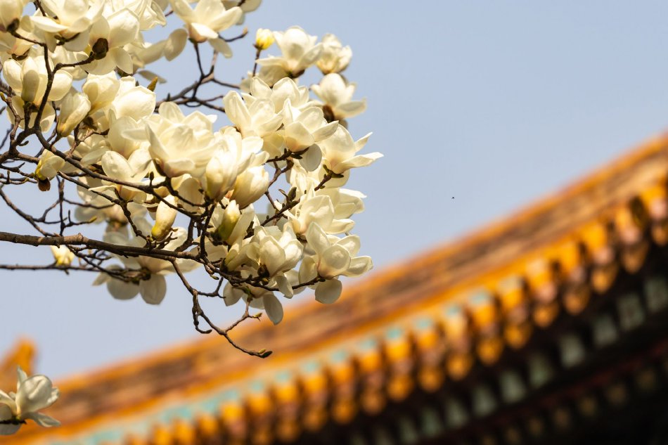 报道：：若伊朗战争持续90天 土耳其经济将损失数百亿美元