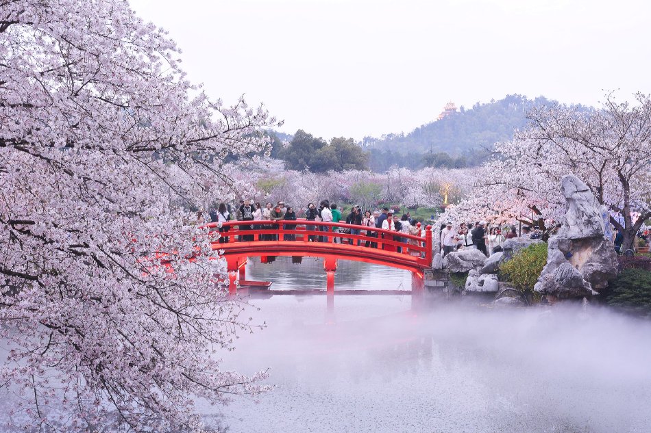 高盛前CEO忠言：：私人信贷市场可能成为新一轮金融；；牡蓟鹚