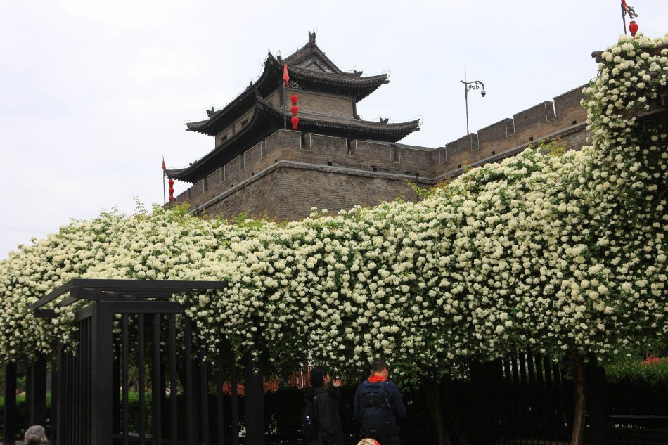 ������Ϊ�ж������ṩ����ʾ��ͼ