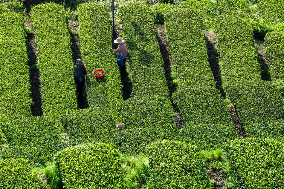 ��������APP���ˣ��������������������ѷ����޷���¼ʾ��ͼ