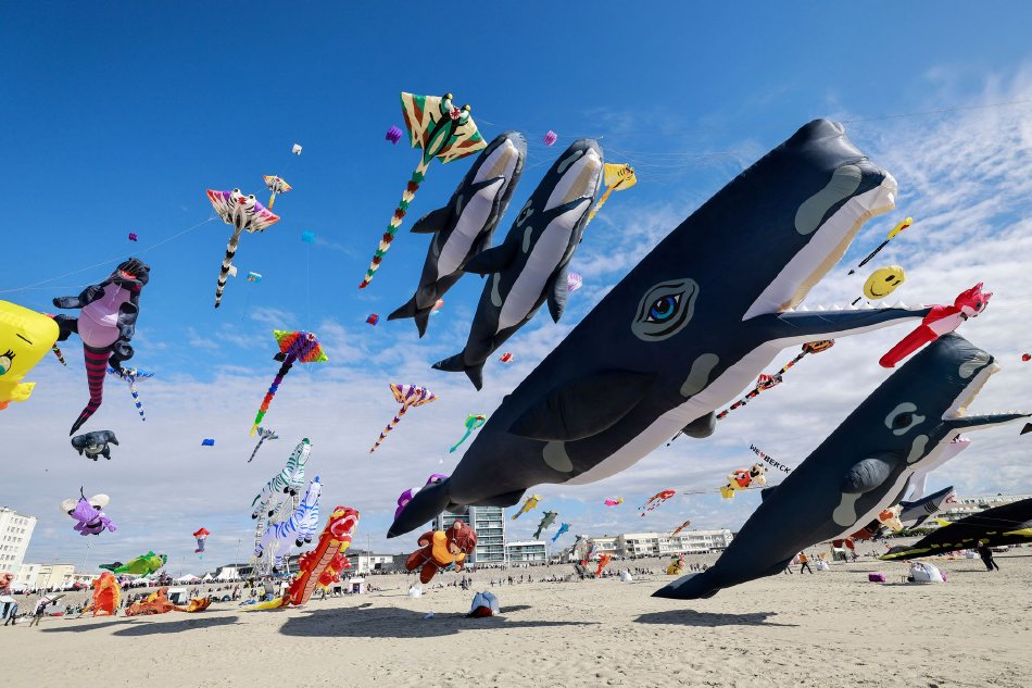 �߹����ţ�������Ҫ����������������׼���ͷ�ʯ�ʹ����԰��ܹ�Ӧʾ��ͼ