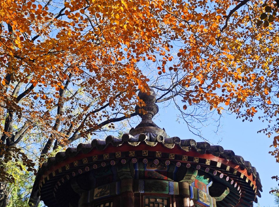 贞丰县,贵州省,无绳蹦极,花江峡谷大桥