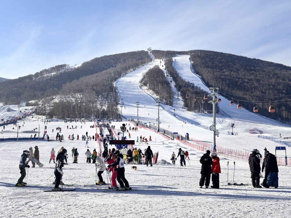 《葵司vs黑人借宿》1080P高清完整版免费在线寓目 