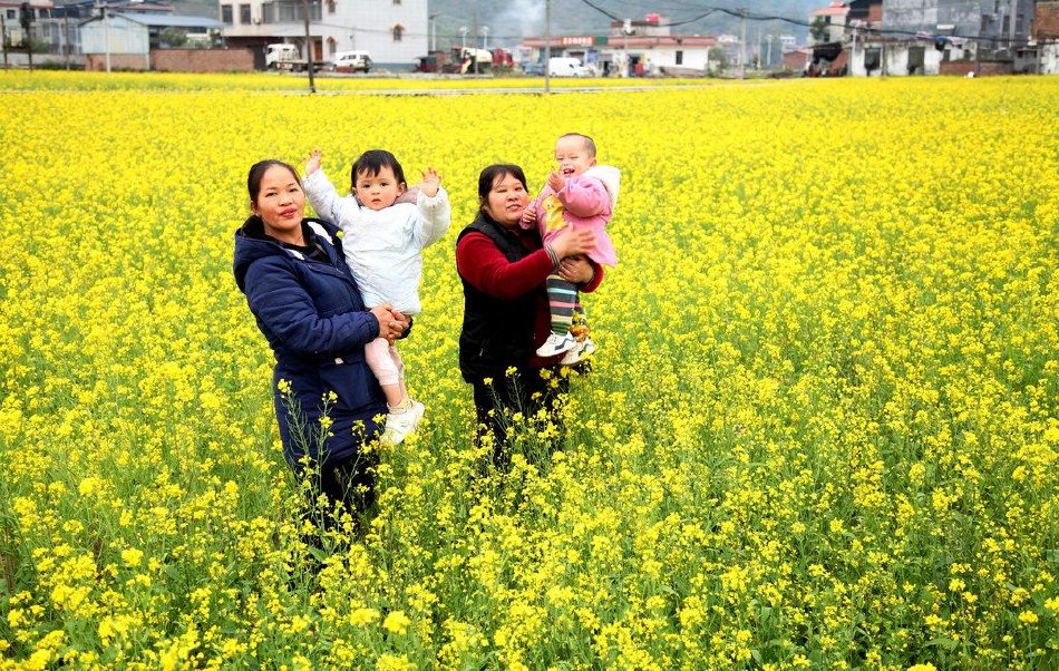 国色天香卡的神秘世界-网友热议背后的套路与机遇