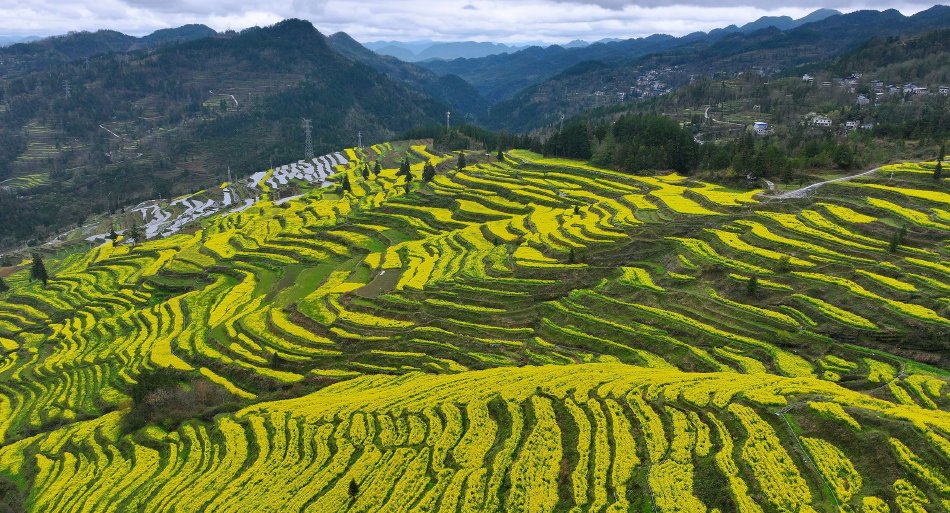 Kohl’s百货第四序度转型遇阻，，，但CEO仍对希望持乐观态度