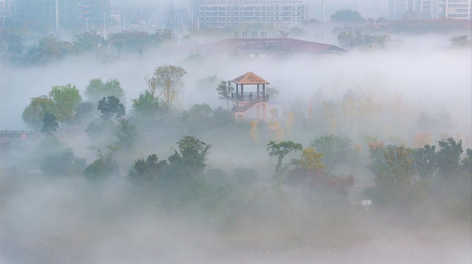 原神刻晴去掉小内打扑克的高清动漫动画片引发热