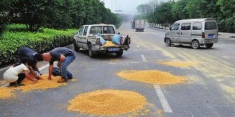 中国式哄抢，怎能不叫人心寒？