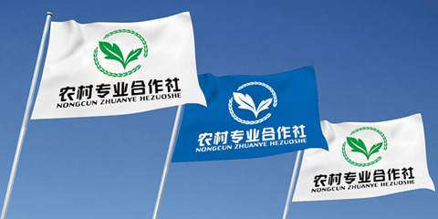 河北多家农村合作社卷钱跑路