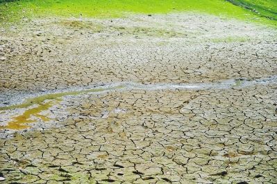 豫闻:河南2310万亩农作物受旱一周翻一番 