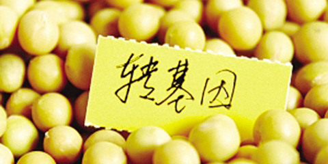 剖析转基因:从科学的角度出发