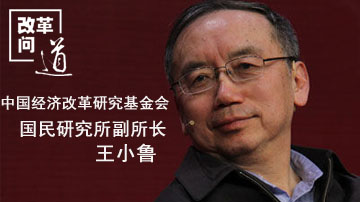 王小鲁:财收超十万亿都花哪了